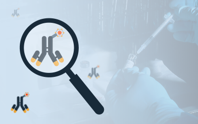 Antibody-Drug Conjugates: the fuel for future growth